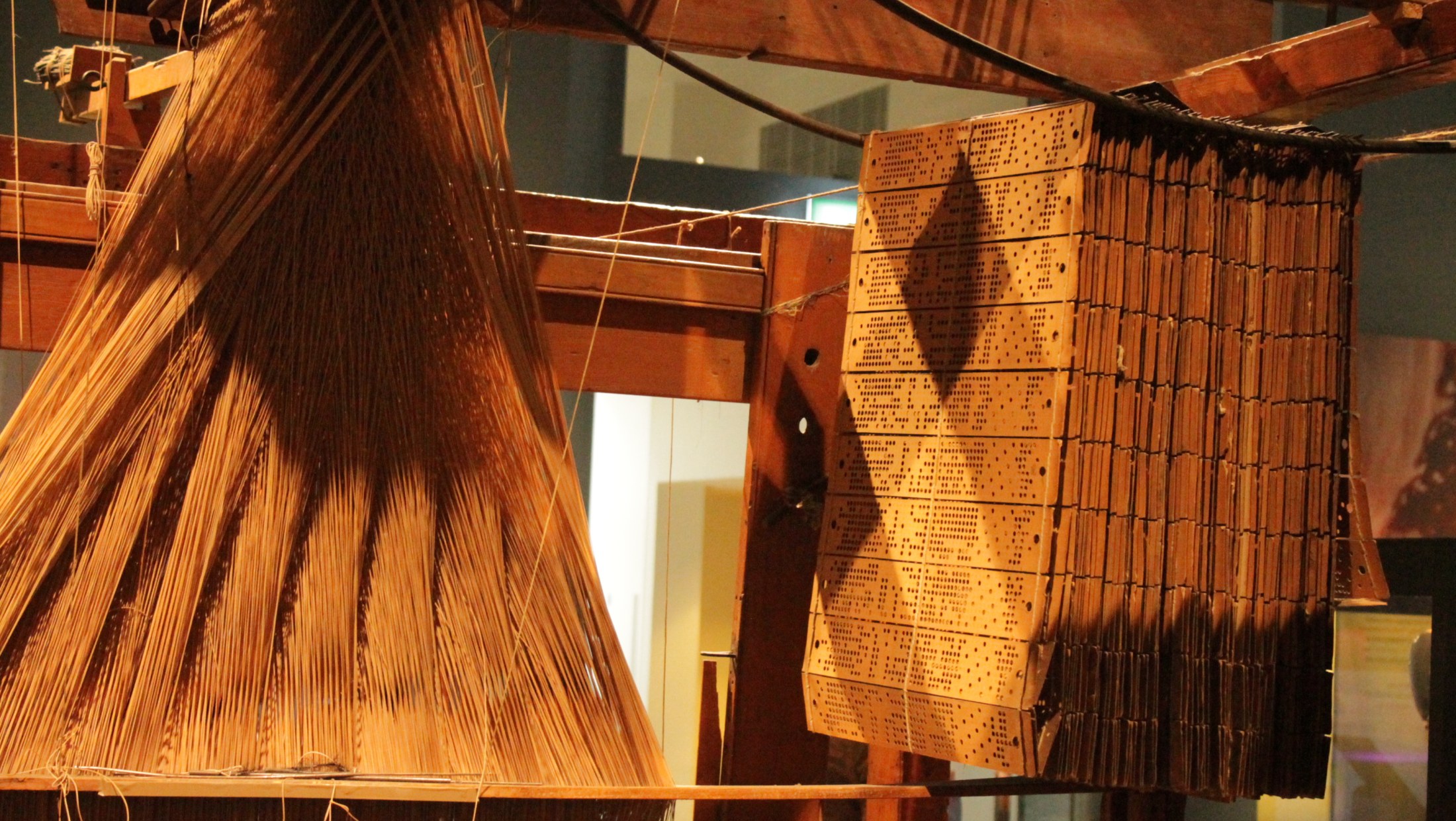 Warp threads fanning through a loom in raking daylight